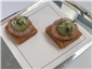 prawn cocktail canape